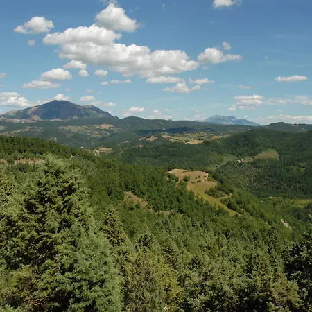 Spacious In With Pool *