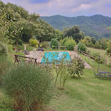 Spacious In With Pool 別荘 Apecchio